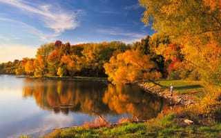 Картинка озеро, осень, деревья, лес