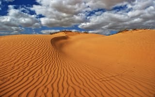 Картинка пейзаж, песок, erg, пустыня, ветер, пастбище, Сахара, экосистема, рябь, облака, на открытом воздухе, рельеф местности, природа, повторение, дюны, сухой, натуральный, окружающая природа, небо, материал, среда обитания, узор, израиль, горячие, географическая особенность, эоловый рельеф