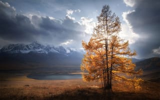 Картинка осень, дерево, горы, облака, природа