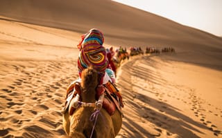 Картинка пустыня, верблюды, дуньхуан, пейзажи, шёлковый путь