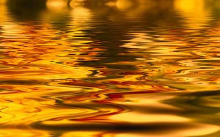 Картинка вода, песок, золото, желтый, осень, закат, золотой, вечер, sureal, утро, цветок, абстракция, свет, лист, природа, отражение, солнечный свет, сказочный