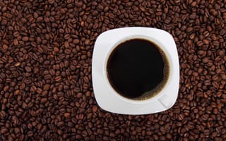 Картинка жидкость, кафе, концепция, кофеин, бин, тьма, тарелка, кофе, кофейная чашка, напиток, эспрессо, свежие, коричневый, горячие, черный, напитки, кружка, посуда, прохладительный напиток, зернышки