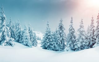 Картинка зима, снег, сугробы
