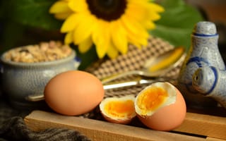 Картинка цветок, еда, цветущее растение, желток, белки, яйцо, варёное яйцо, соль и перец, завтрак, яйцо для завтрака, наземное растение, здорового, на месте жизни, вкус, продукт, выпечка, питание, стол для завтрака