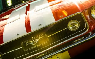 Картинка Ford Mustang, передний план, красная машина, машины
