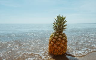 Картинка пляж, море, продукт, тропический, бесплатные фотографии, ананас, финиковая пальма, цветущее растение, природа, фрукты, наземное растение, семейство травянистых, еда, вода