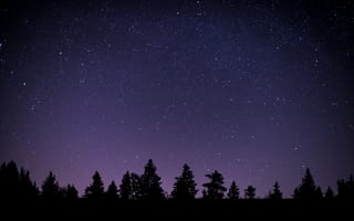 Картинка дерево, силуэт, пейзажи, лунный свет, галактика, звезда, атмосфера, небо, полночь, темнота, ночь, бесплатные, Млечный путь, астрономический объект