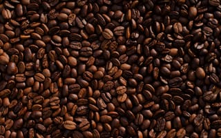 Картинка кофе, кофейное зерно, кофеин, овощ, продукт, текстуры, семя подсолнечника, еда, бин, напиток, обрезать, бесплатные
