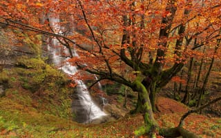Картинка Uguna Waterfall, Basque Country, Bizkaia, Gorbea Natural Park