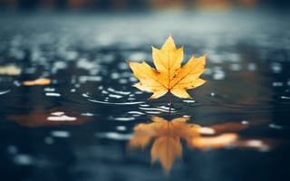 Картинка осень, лист, сезон, вода, природа, озеро, на открытом воздухе, желтый, пруд, клен, листва, отражение, падение, живописный