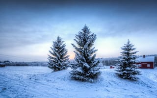 Картинка зима, деревья, домик