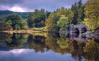 Обои озеро, мост, деревья, осень