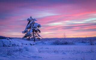Картинка Arvika, Sweden, Varmland County