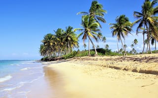 Картинка пляж, море, залив, пейзажи, пальмовое семейство, дерево, берег, океан, остров, водоём, доминиканская республика, тропики, карибский бассейн, отпуск, ареалы, мыс, побережье, песок, Баваро, лагуна