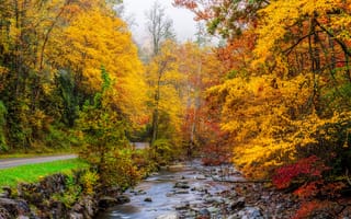 Картинка Грейт-Смоки-Национальный парк, дорога, осень, штат Теннесси