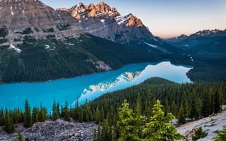 Картинка Озеро Peito, Пейт, канадские Скалистые горы