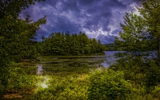 Картинка Sanborn lake, Maine, Brooks
