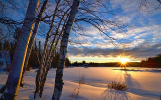 Картинка пейзаж, дерево, Квебек, древесное растение, против дня, холодный, деревья, лед, облака, вечер, березы, утро, солнце, сумрак, облако, сумерки, солнечный свет, погода, сезон, ветвь, закат, цвета, зимний пейзаж, снег, пейзажи, Канада, небо, рассвет, зима, природа, озеро, восход солнца, отражение