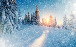 Картинка зима, снег, закат