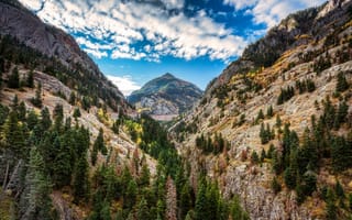 Картинка San Juan Mountains, пейзаж, осень, лес, Colorado, горы, деревья
