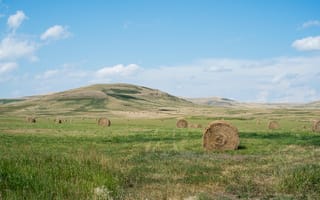 Картинка пейзаж, трава, простой, семейство травянистых, курган, среда обитания, выпасть, степь, плато, сельская местность, окружающая природа, луг, сеновал, экосистема, поле, экорегион, нагорье, стоге сена, пастбище, выпаса, сена, географическая особенность, Бэдлендс, степи, холм, сельское хозяйство, пейзажи, ферма, Саванна