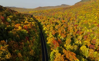 Картинка аэрофотосъемка, осень, на открытом воздухе, деревья, листья, листва, падение, горы, небо, живописный, сезон, дрова, природа, лес, красочный