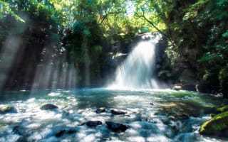 Картинка ручей, водопад, кумамото, водосток, лес, тропический лес, водоём, река, вода, поток, стремительный, Вассерфаль, водная характеристика, джунгли, Япония, маленькая страна, природа, свет