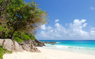 Картинка пляж, море, путешествия, мыс, тропики, водоём, океан, праздник, тропический, рельеф местности, остров, бухта, индийский океан, островок, карибский бассейн, побережье, пальмовые деревья, прекрасный пляж, залив, отпуск, ареалы, Сейшельские острова, берег, лагуна, пейзажи, песок
