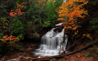 Обои осень, природа, водопад, осенние краски, деревья, пейзаж, лес, краски осени, речка