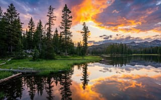 Картинка пейзаж, природа, поваленные деревья, нейросеть, закат, тайга, солнечный свет, туризм, HD, холмы, бревна, ИИ, грозовые тучи, пруд, берег, ели, вечер, сосны, путешествия, дикая природа, заводь, яркие цвета, лесное озеро, умиротворение, коряги, рассвет, сумерки, рабочий стол, спокойствие, золотые облака, 16:9, фиолетовые тучи, трава, река, оранжевое небо, лучи, небо, солнце, облака, 2k, хвойный лес, гладь воды, горы, озеро, 4k, зеркальное отражение, силуэты деревьев, деревья, 1920х1080, хребет