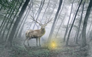 Картинка олень, туман, лампа, утро, лес, деревья, пейзаж, фантазия, рассвет, фотошоп, art