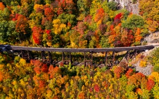Картинка осень, лес, сельский, треки, деревья, поезд, падение, природа, мост, листва, на открытом воздухе