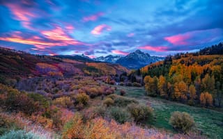 Картинка San Juan Mountains, осень, лес, горы, деревья, пейзаж, Colorado