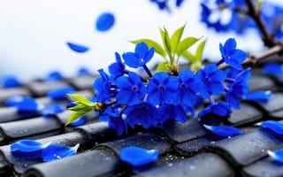 Картинка цветы, синие цветы, ультрамарин, контраст, ветка, азиатская архитектура, крупный план, опадающие лепестки, свет, весна, цветение, 16:9, 2k, синий цвет, пейзаж, роса, ИИ, HD, иллюстрация, макро, размытый, нейросеть, кобальт, соцветия, бутоны, почки