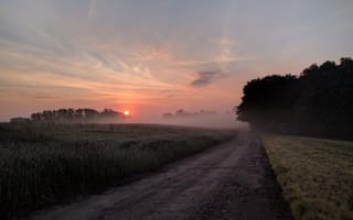 Картинка пейзаж, море, солнце, атмосферное явление, солнечный свет, природа, сельская местность, рассвет, дерево, пейзажи, восход солнца, дорога, небо, вечер, туман, утро, закат, поле, холм, сумрак, горизонт, свет, облако