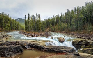 Картинка Sunwapta Falls, деревья, пейзаж, река, Jasper National Park, водопад
