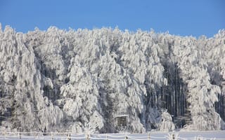 Картинка лес, горы, зима, погода, лед, тевтобургский лес, хребет, плато, забор, геологическое явление, елей, мороз, замораживание, окунь, горный хребет, снег, белый, пейзажи, деревья, сезон, трасса