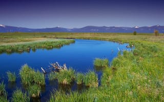 Картинка пейзаж, вода, степь, болото, весна, луг, пруд, трава, живописный, географическая особенность, степи, экосистема, водно-болотные угодья, небо, природа, среда обитания, лето, отражение, Орегон, за пределами, резервуар, пейзажи, дикая местность, поток, марш, растения, wood river marsh, загородная местность, озеро, пастбище, тундра, горы, плато, облака, окружающая природа, простой