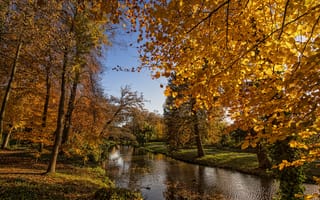 Картинка Нидерланды, канал, пейзаж, парк, осенние листья, тропинка, ветки деревьев, река, деревья, природа, осень, Амерсфорт