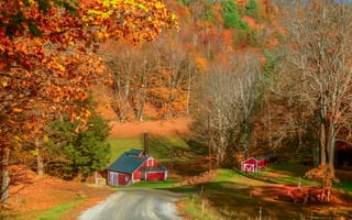 Обои Вермонт, осень, Брук-Фарм, пейзаж, Осень, дорога, деревья, дома