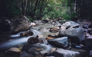 Картинка пейзаж, вода, природа, географическая особенность, дикие, осень, ручей, среды, лес, водная характеристика, безмятежной, лесной массив, влажная, на открытом воздухе, камень, каскад, водосток, водоём, спокойный, натуральный, рок, движения, река, живописный, течет, поток, дикая местность, водопад, мокрая, стремительный, скалы, среда обитания, рельеф местности