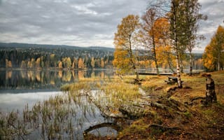 Картинка осень, озеро, лес, Норвегия