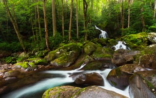 Картинка Great Smoky Mountains National Park, деревья, речка, водопад