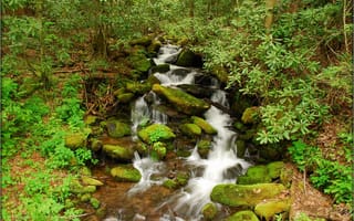 Картинка Национальный парк Грейт Смоки, речка, деревья, лес