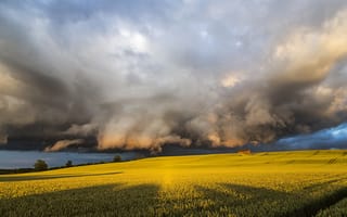 Картинка поле, шторм, дом, буря