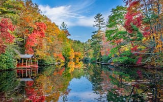 Картинка Северная Каролина, озеро, осень, деревья, пейзаж
