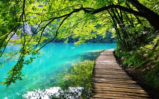 Картинка Плитвицкие озера, деревья, мостик, Хорватия