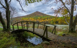 Картинка Blue Ridge Parkway, деревья, пейзаж, водоём, осень, Виргиния, мост