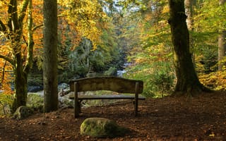 Картинка Шотландия, осень, пейзаж, лавочка, Данкелд, Пертшира, лес, деревья, Эрмитаж