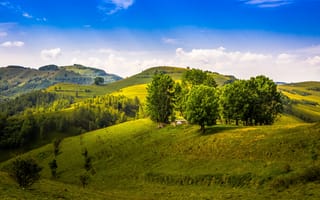 Картинка Румыния, холмы, деревья, горы